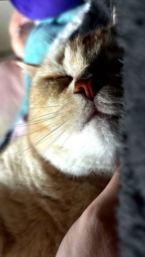 bbyerikss archive video preview