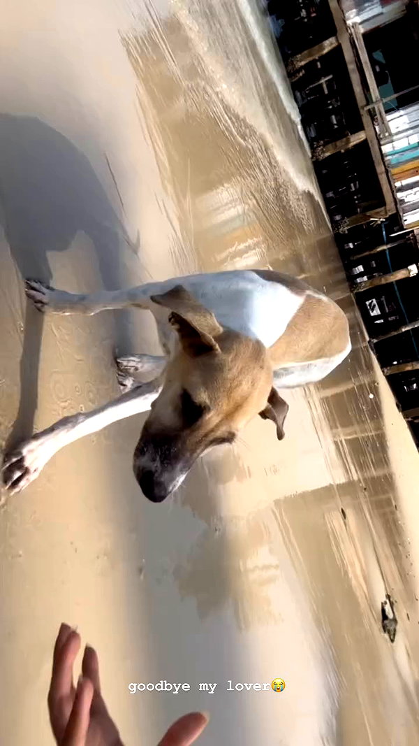 talya.fridland archive video preview