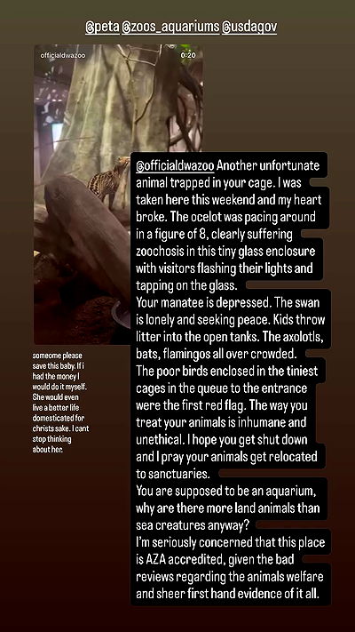 alexandramarianna alexandramarianna archive video