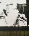 mileycyrus Altpins Profile Picture