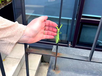 laurinchhhe laurinchhhe archive video