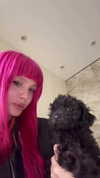 miss_baby007 Altpins Profile Picture