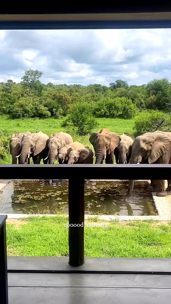 caseyjamess_ archive video preview
