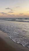 _ariel_lll Altpins Profile Picture