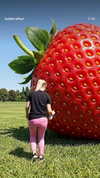strawberryshanz Altpins Profile Picture