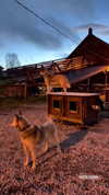 777pb_ Altpins Profile Picture