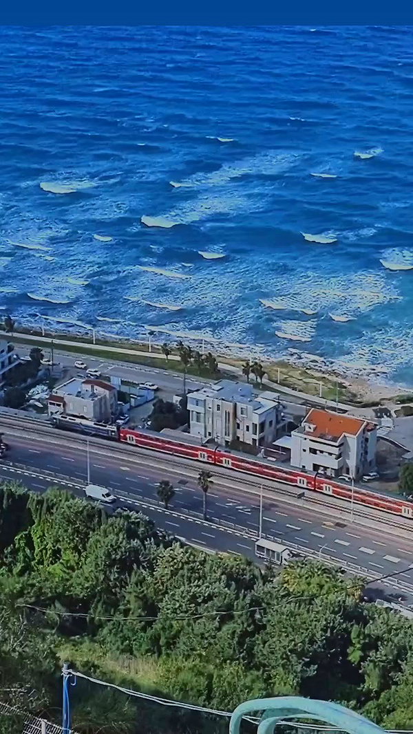 tamarli._ archive video preview