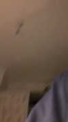evasela__ Altpins Profile Picture
