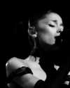 teamariana Altpins Profile Picture