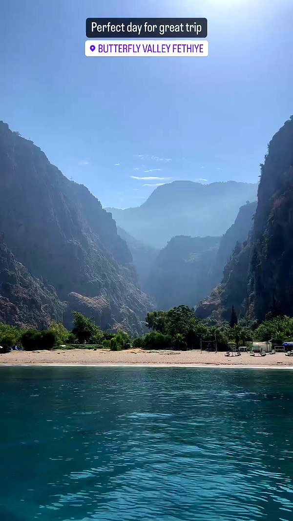 swfx_real archive video preview