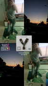 karzelek010 Altpins Profile Picture