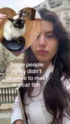 s111y_ccc0nt3 Altpins Profile Picture