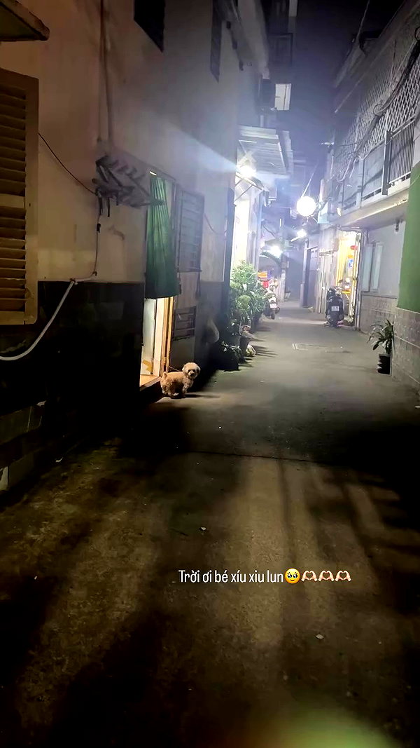 danchiii6403__ archive video preview