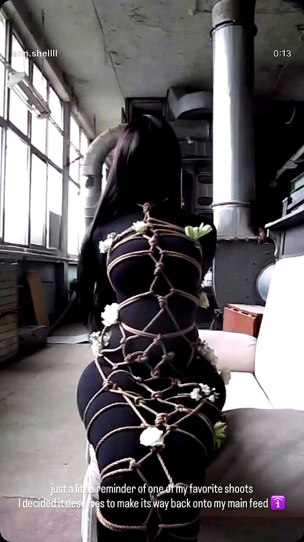 ann.shellll archive video preview