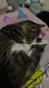 tori_t96 Altpins Profile Picture