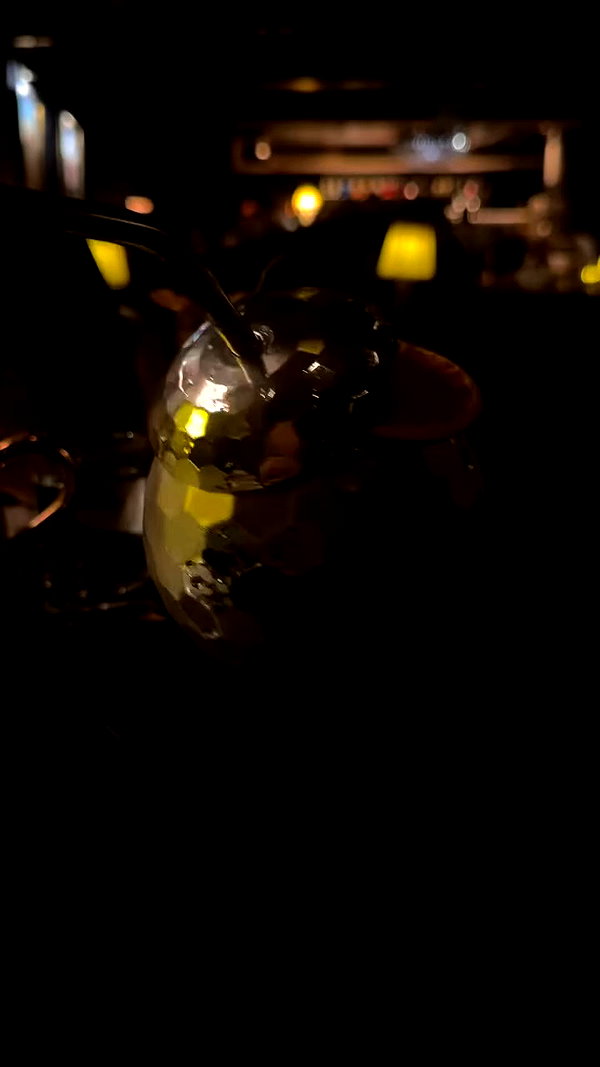 _allvi.pansk archive video preview