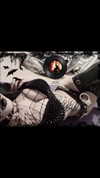 nylthria Altpins Profile Picture