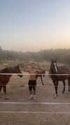 _broock_ Altpins Profile Picture