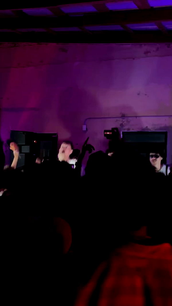 mosssaico archive video preview