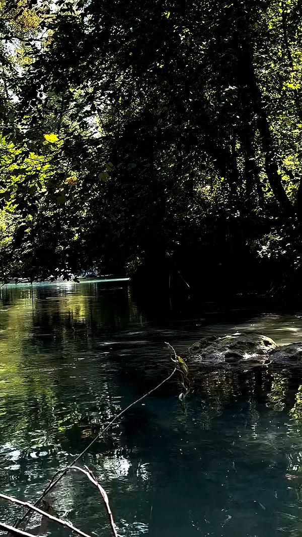 _.shelichka._ archive video preview