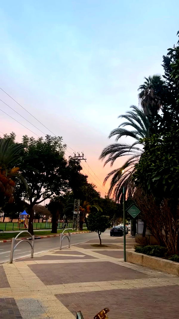 roee_mor_62 archive video preview