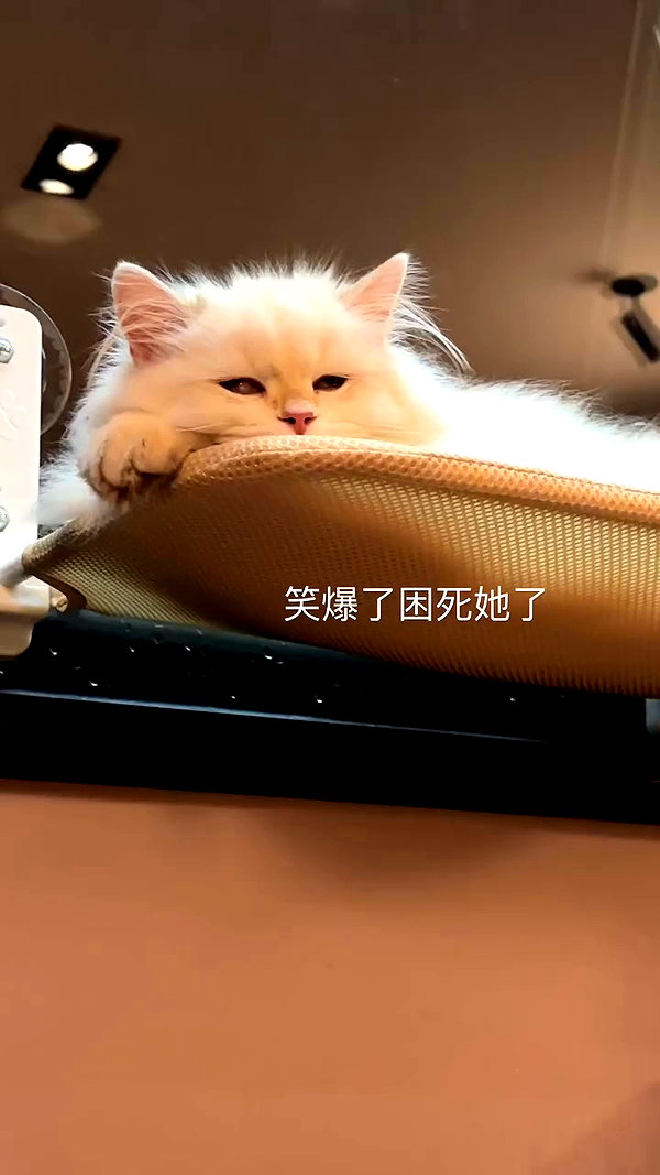 xiaoxinbue archive video preview