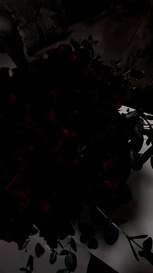 miss_insta_x.18 archive video preview