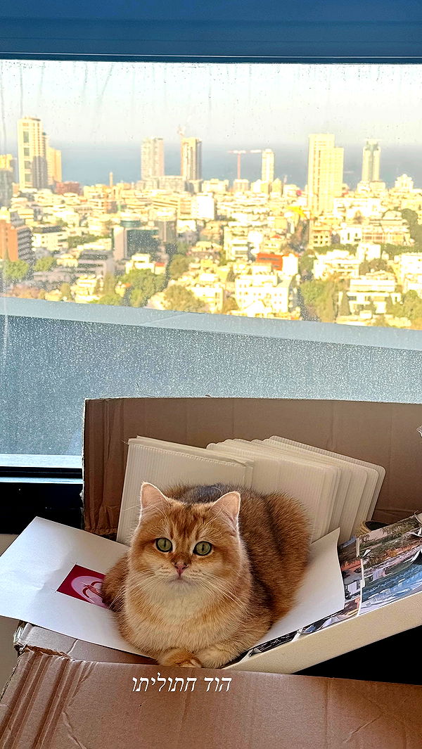 itsilanosh archive video preview