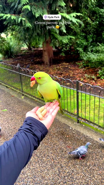 taylor.creeden taylor.creeden archive video