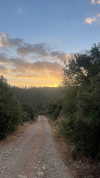 sh1rawein Altpins Profile Picture