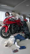 nicole_ac Altpins Profile Picture