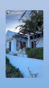 michal_cohen017 Altpins Profile Picture