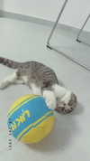 sonia_litvanchuk Altpins Profile Picture