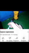 amatveyko Altpins Profile Picture