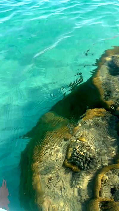 taylor.creeden taylor.creeden archive video