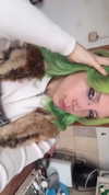 avitallllllllllllllll Altpins Profile Picture