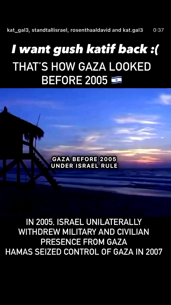 sapir_shemer archive video preview
