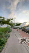 mishel_d_ Altpins Profile Picture