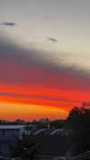 solzarubin_ Altpins Profile Picture