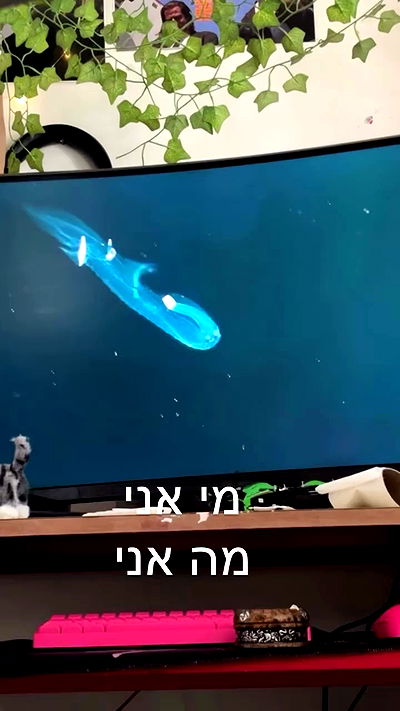 natalllluli natalllluli archive video