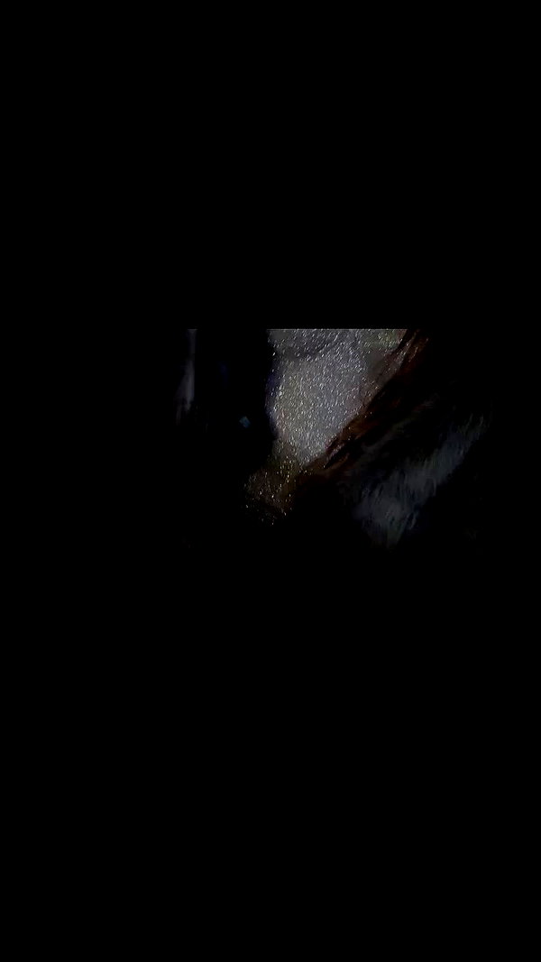 milikoxy archive video preview
