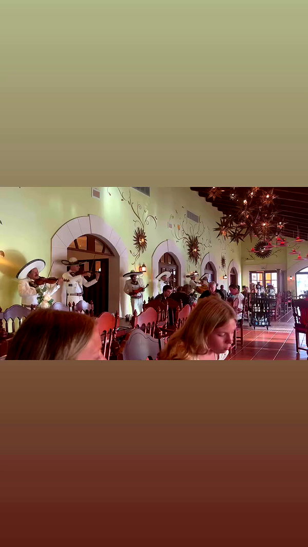 olivia.bolgerr archive video preview