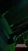 danafetishistova Altpins Profile Picture