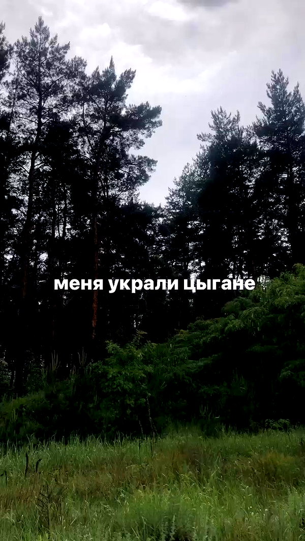 stea0diness archive video preview