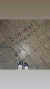 shayli_or Altpins Profile Picture