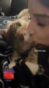 brain_eaterr Altpins Profile Picture