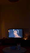 sophiecharlotth Altpins Profile Picture