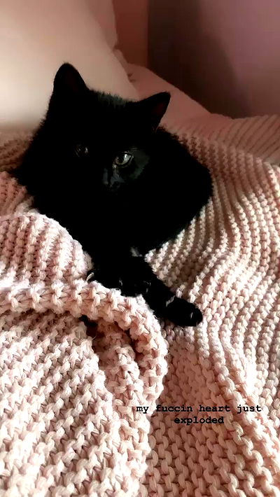 suikomuu suikomuu archive video