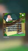 _ann.kim_ Altpins Profile Picture