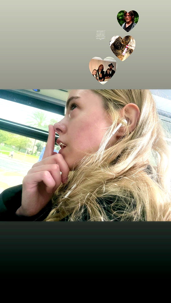 orchidmurmur archive video preview